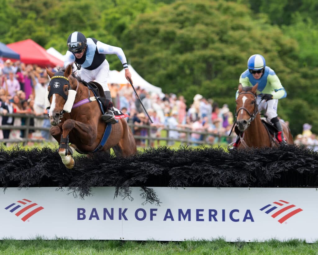 Iroquois Steeplechase renews Jockey Club UK partnership; 2026 winner earns Cheltenham invite