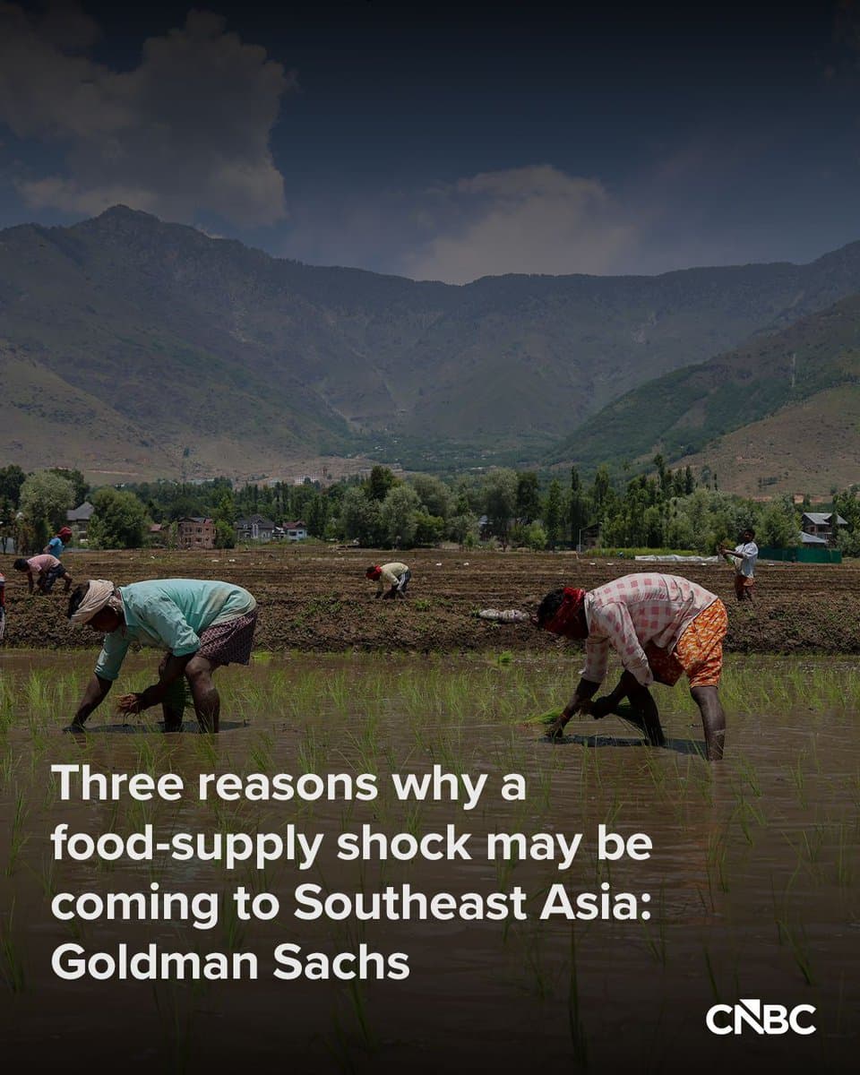 Goldman Sachs warns of higher Southeast Asia food inflation from conflict, El Niño