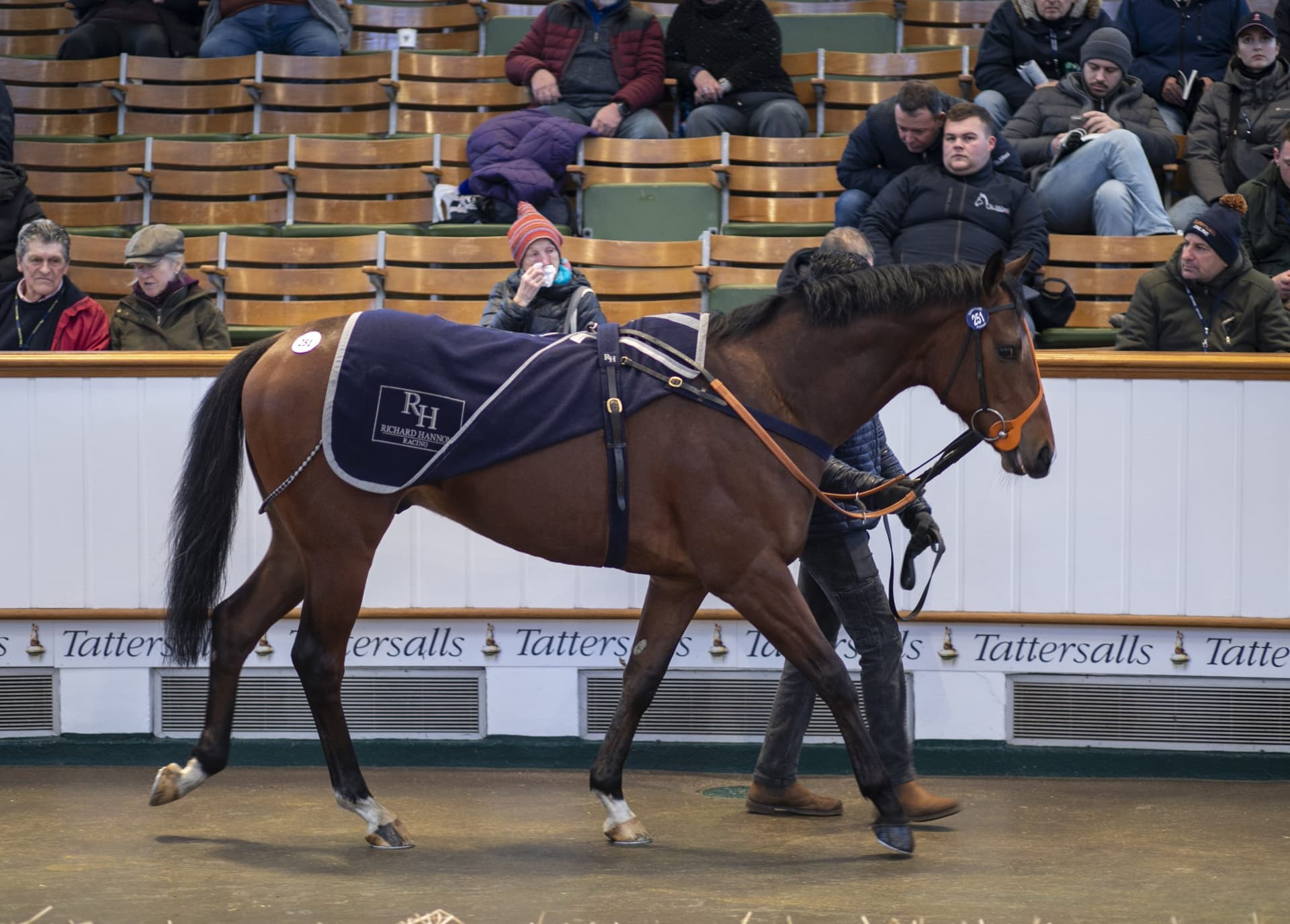 Space Invasion Tops Tattersalls Sale at 230,000 Guineas to Sheikh Isa